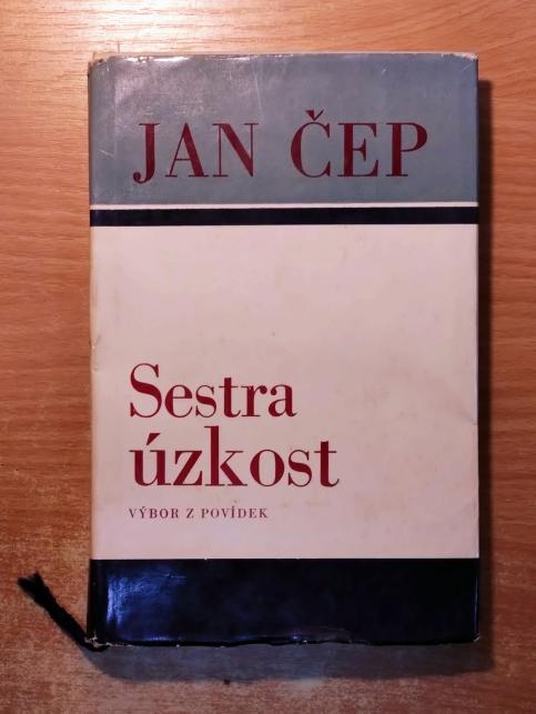 Sestra úzkost