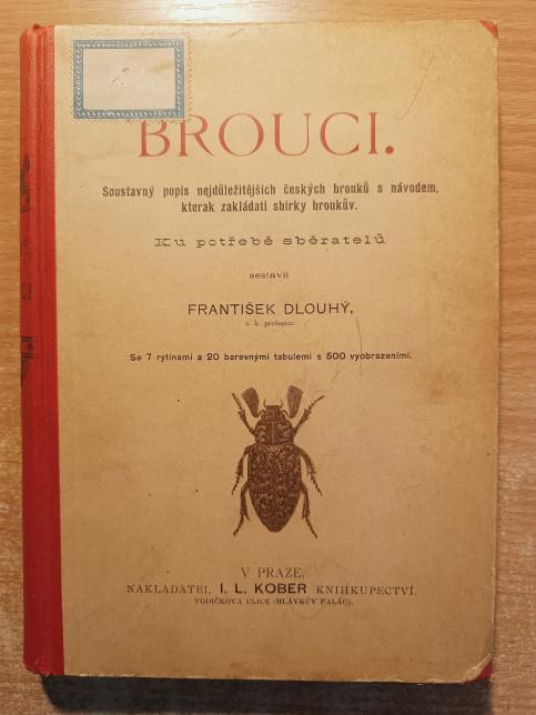 Brouci