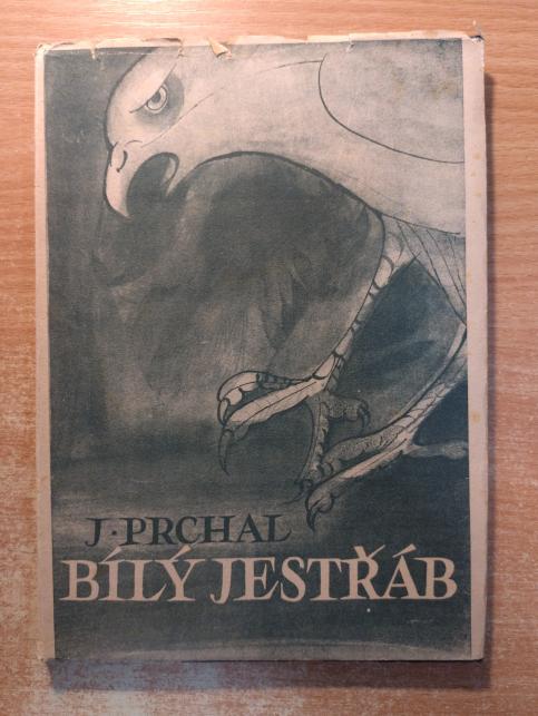 Bílý jestřáb
