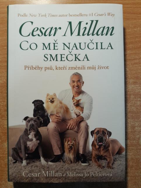 Co mě naučila smečka