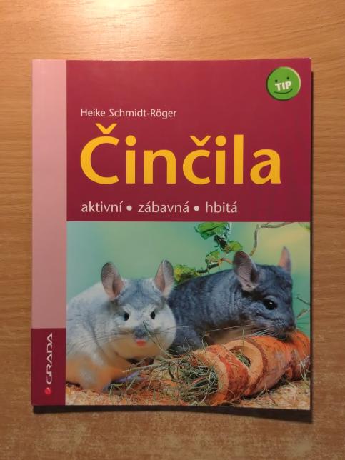 Činčila - aktivní, zábavná, hbitá