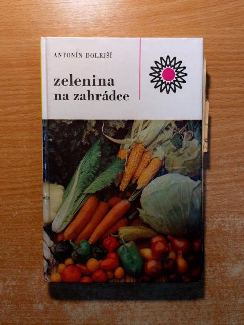 Zelenina na zahrádce