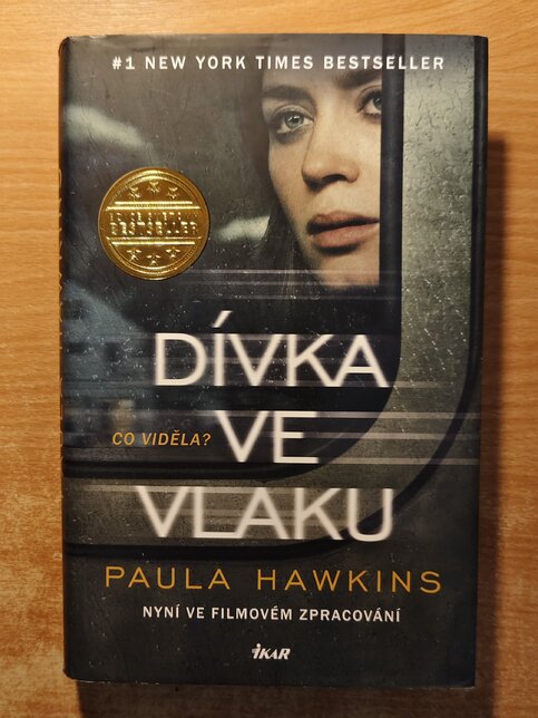 Dívka ve vlaku